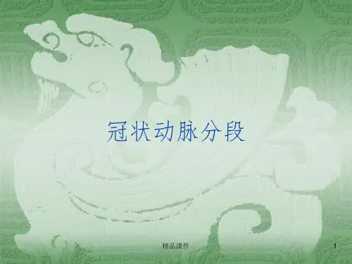 冠状动脉分段PPT课件