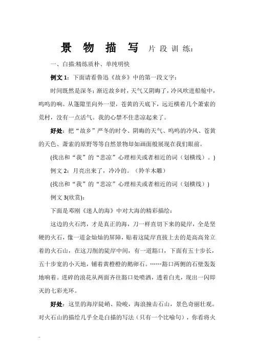 景物描写片段训练