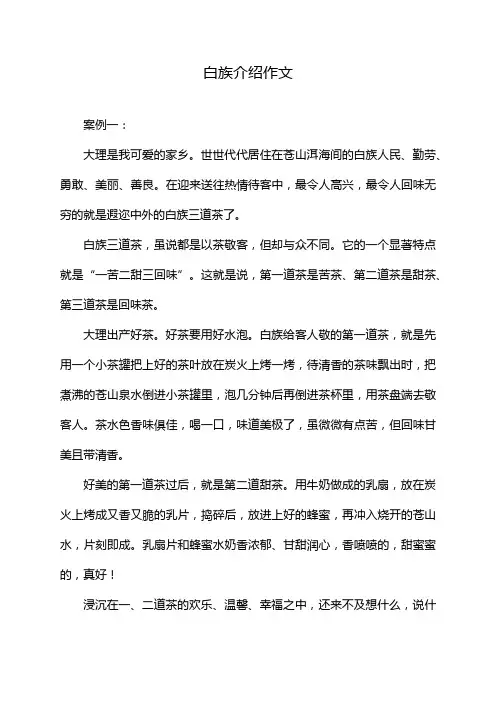 白族介绍作文