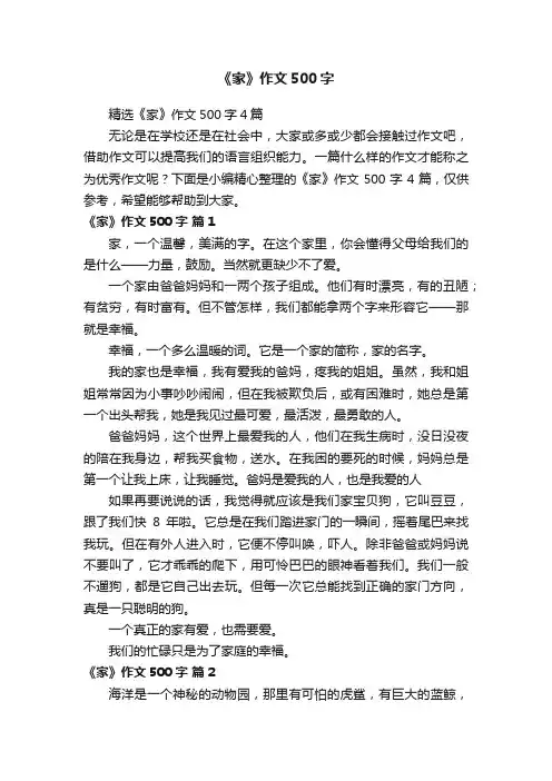 精选《家》作文500字4篇