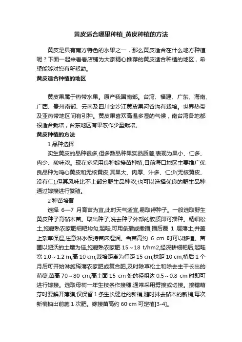 黄皮适合哪里种植_黄皮种植的方法