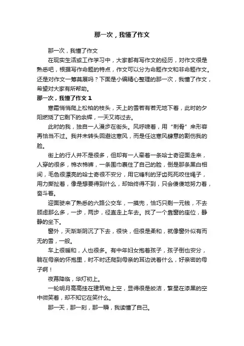 那一次，我懂了作文