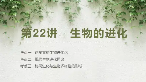 生物的进化-2024年高考生物一轮复习考点精讲与知识归纳(新教材)