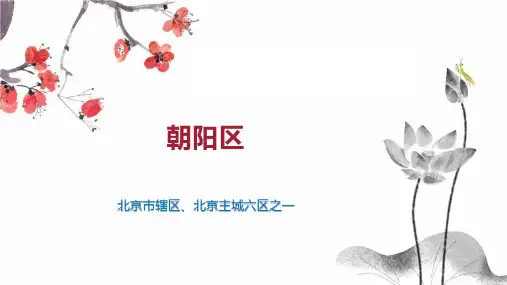 朝阳区    