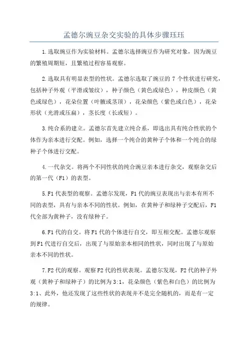 孟德尔豌豆杂交实验的具体步骤珏珏