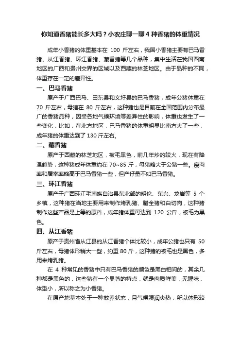 你知道香猪能长多大吗？小农庄聊一聊4种香猪的体重情况