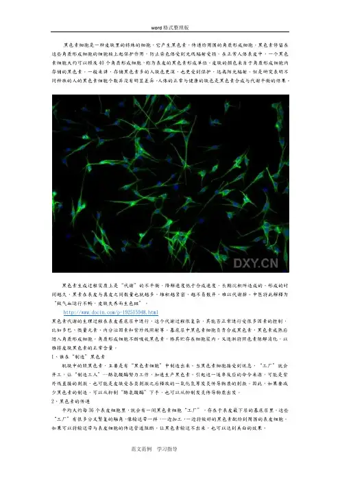 黑色素形成机理