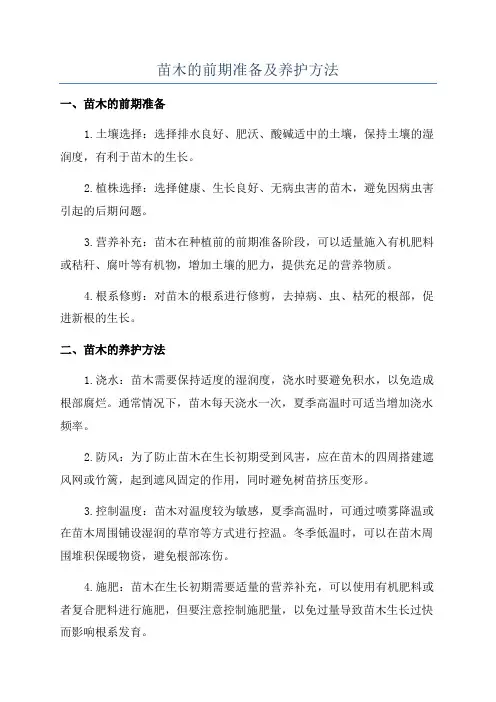 苗木的前期准备及养护方法