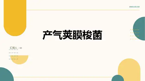 产气荚膜梭菌