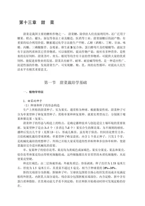 【农学课件】13第十三章甜菜