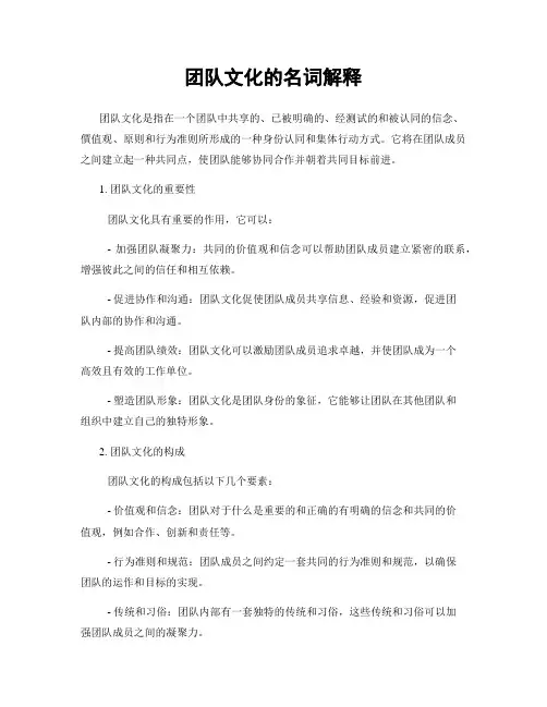 团队文化的名词解释