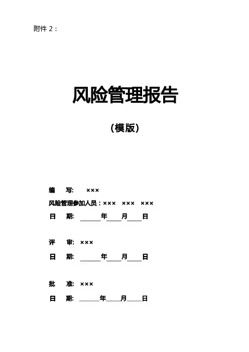 风险管理报告模板