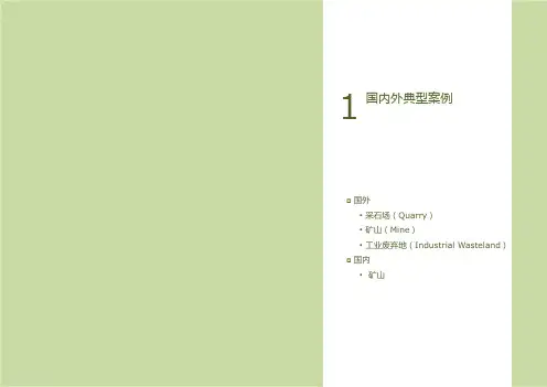 国内外典型案例矿山生态修复与景观创意67P生态恢复措施案例研究分析