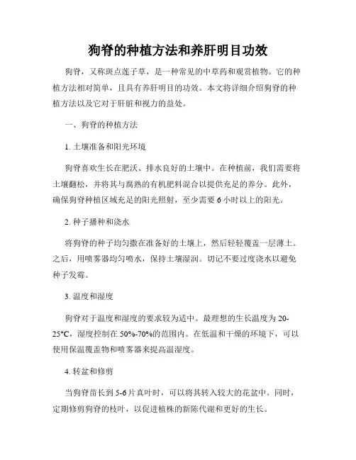 狗脊的种植方法和养肝明目功效