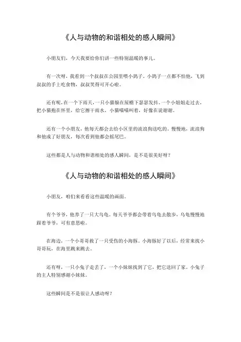 人与动物的和谐相处的感人瞬间