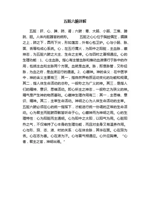 五脏六腑详解