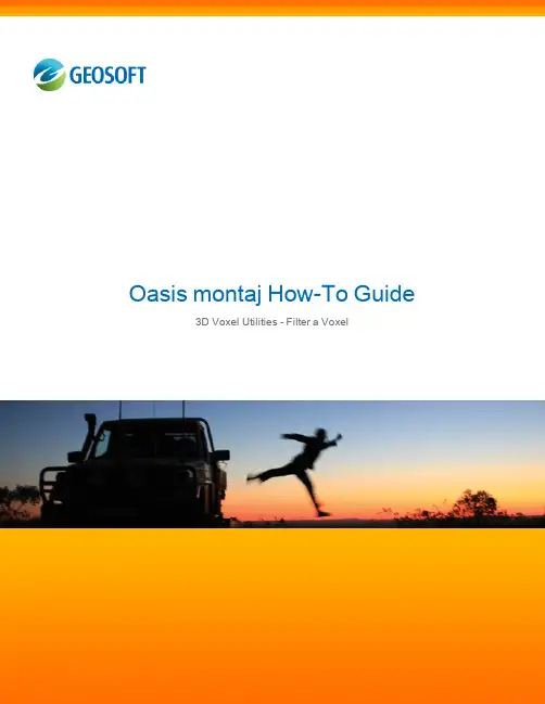 Geosoft-Oasis montaj应用--How-To_Filter_A_Voxel