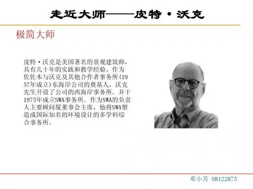 彼得沃克_作品分析