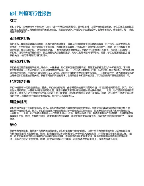 砂仁种植可行性报告