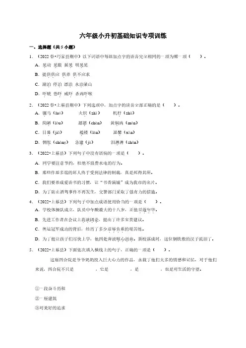 小学语文六年级下册小升初基础知识专项训练(含答案)