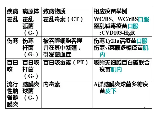 卡介苗学习教材PPT课件