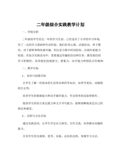 二年级综合实践教学计划