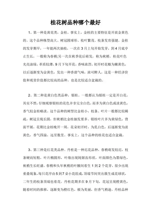 桂花树品种哪个最好