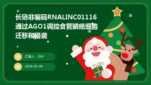 长链非编码RNALINC01116通过AGO1调控食管鳞癌细胞迁移和侵袭演示课件