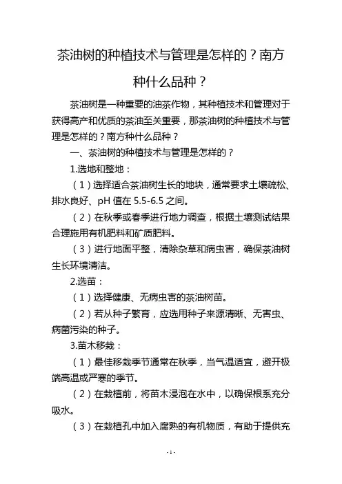 茶油树的种植技术与管理是怎样的？南方种什么品种？