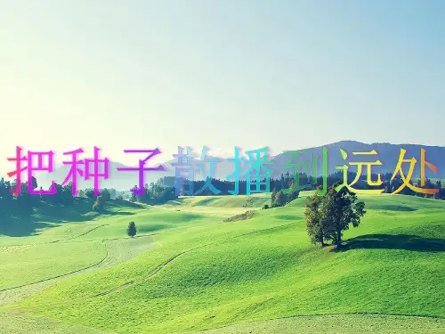 四年级下册科学课件 -2.4 把种子散播到远处｜教科版 (共30张PPT)