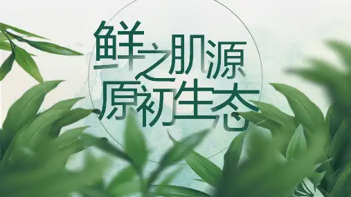 绿叶的化妆品产品宣传介绍学习培训课件