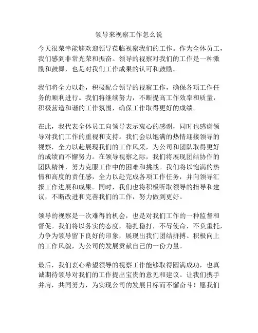 领导来视察工作怎么说
