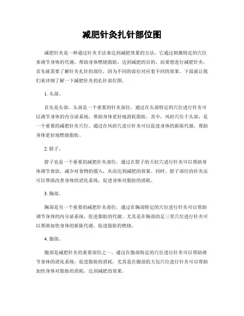 减肥针灸扎针部位图