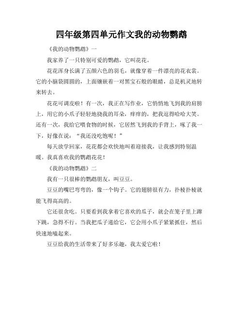 四年级第四单元作文我的动物鹦鹉