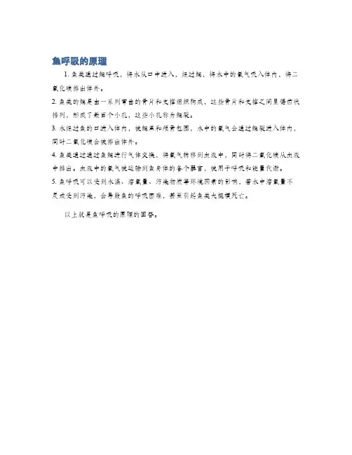 鱼呼吸的原理