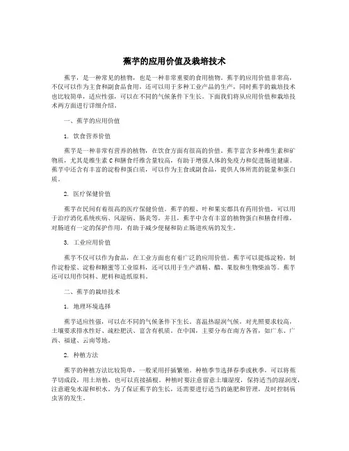 蕉芋的应用价值及栽培技术