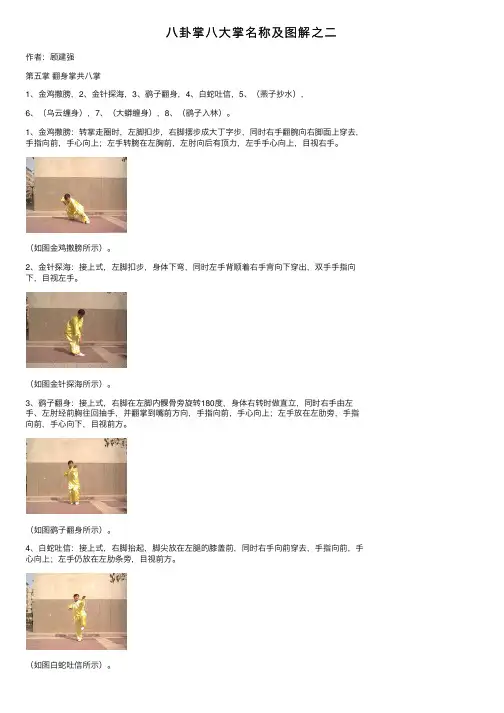 八卦掌八大掌名称及图解之二