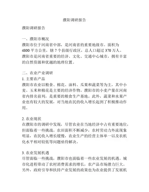 濮阳调研报告