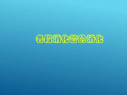 消化与吸收功能(生理学课件)