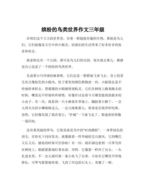 缤纷的鸟类世界作文三年级