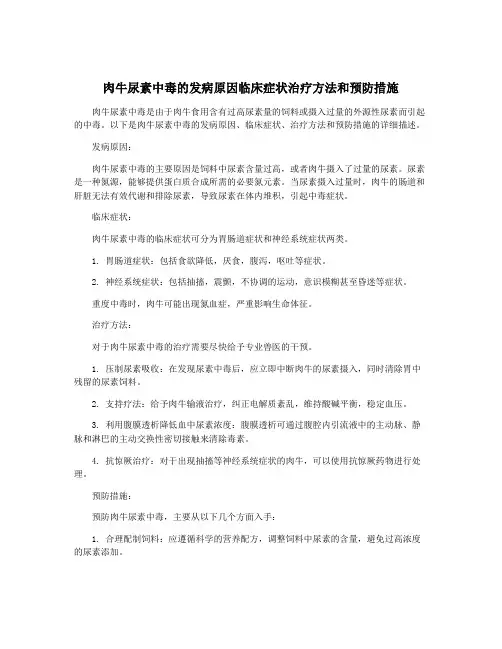 肉牛尿素中毒的发病原因临床症状治疗方法和预防措施