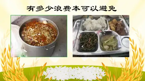 6有多少浪费本可以避免 (课件)部编版道德与法治四年级下册
