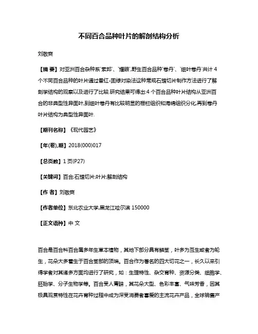 不同百合品种叶片的解剖结构分析