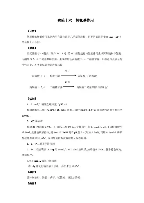 实验十六  转氨基作用