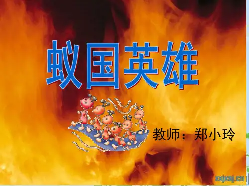 《生命的壮歌之蚁国英雄》公开课课件