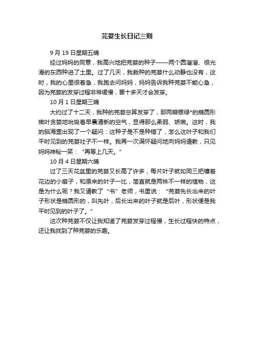 芫荽生长日记三则