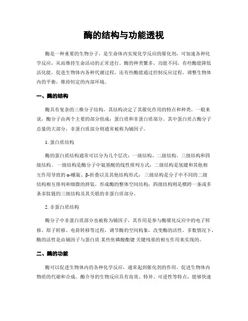 酶的结构与功能透视