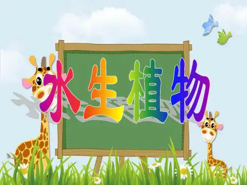 新版三年级上册科学实用教学课件-1.4 水生植物 教科版(共22张PPT)演示课件