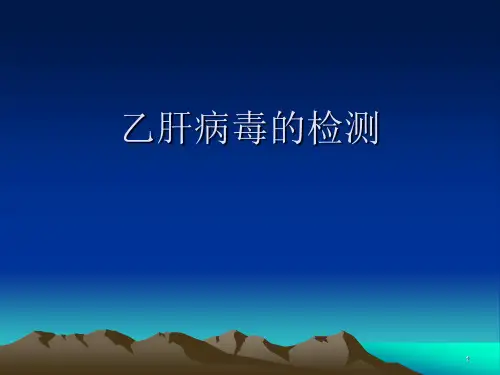 乙肝病毒的检测ppt课件