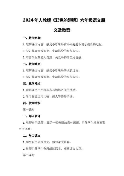 2024年人教版《彩色的翅膀》六年级语文原文及教案